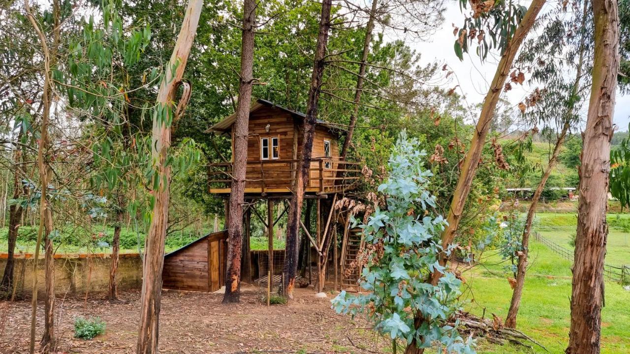 Vale Da Silva Villas - Quinta Albergaria-a-Velha Eksteriør billede