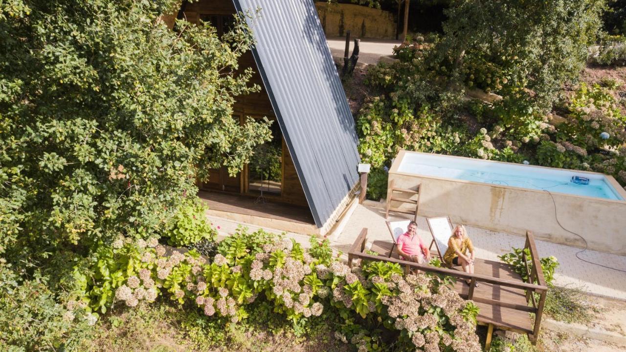 Vale Da Silva Villas - Quinta Albergaria-a-Velha Eksteriør billede