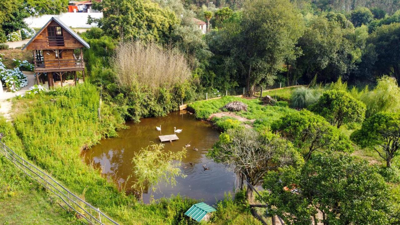 Vale Da Silva Villas - Quinta Albergaria-a-Velha Eksteriør billede