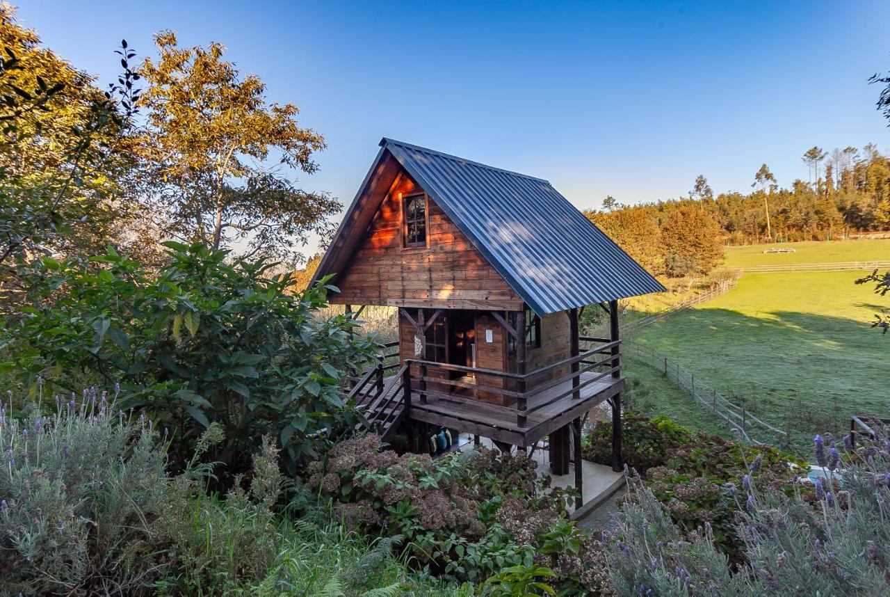 Vale Da Silva Villas - Quinta Albergaria-a-Velha Eksteriør billede