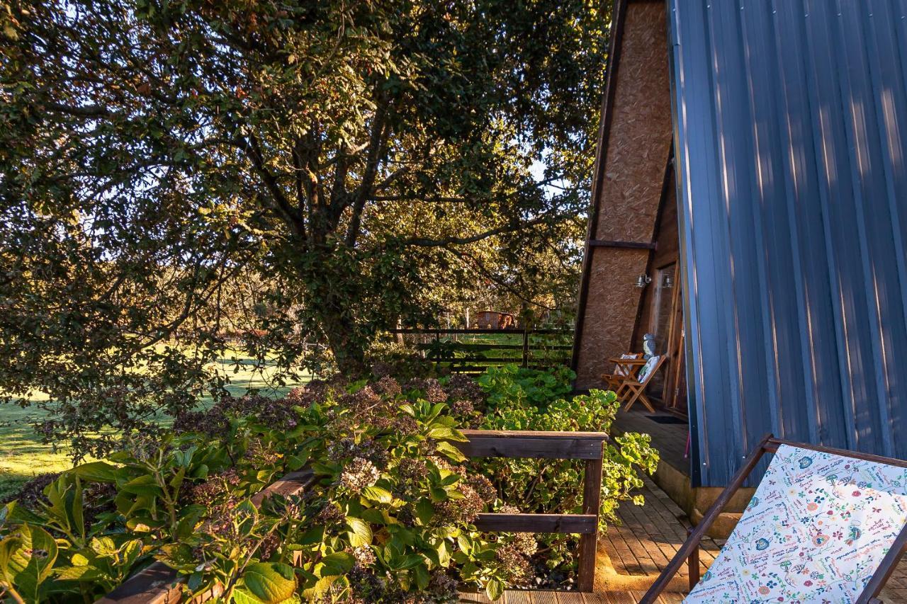 Vale Da Silva Villas - Quinta Albergaria-a-Velha Eksteriør billede